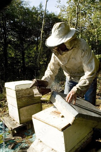 Bee Keeper