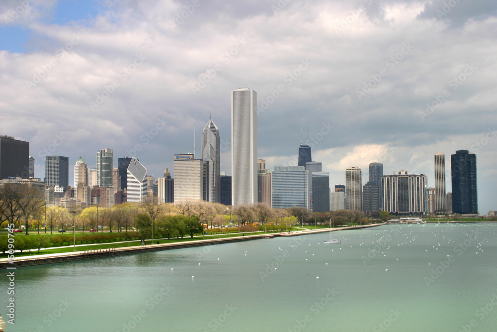 Fototapeta premium city of chicago