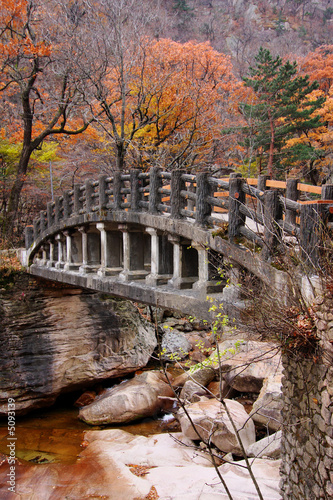 Bridge In Autumn photo