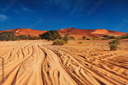 Namib Desert #5094524
