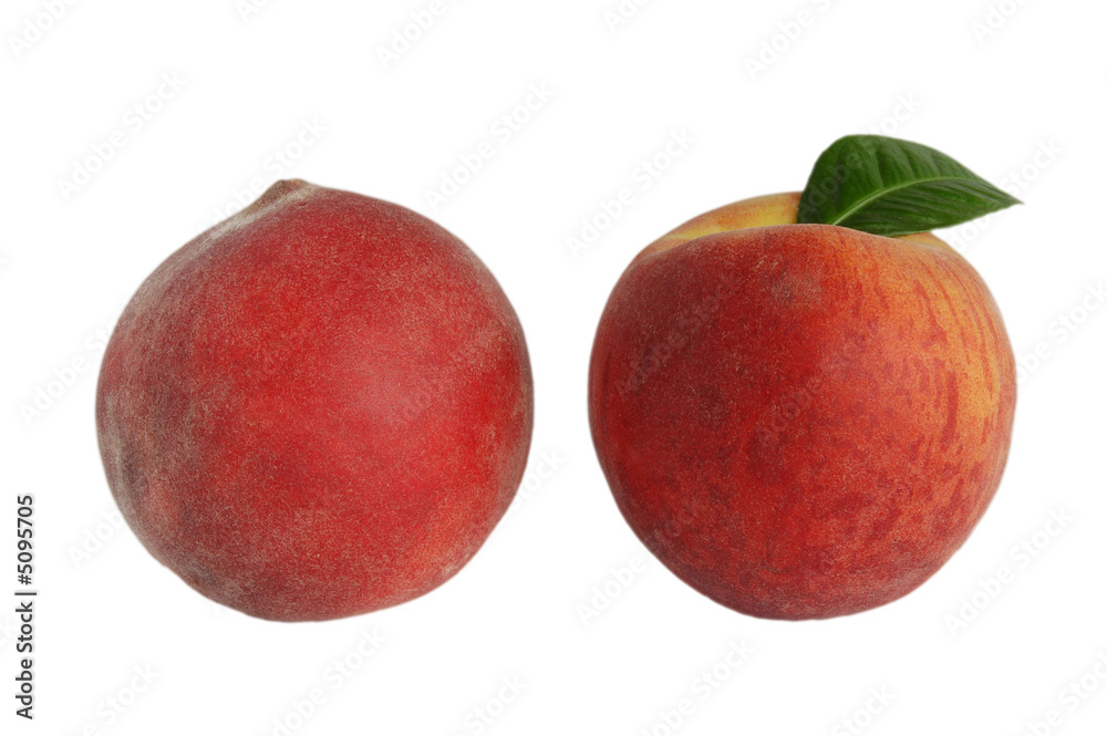 peach on white peach on white