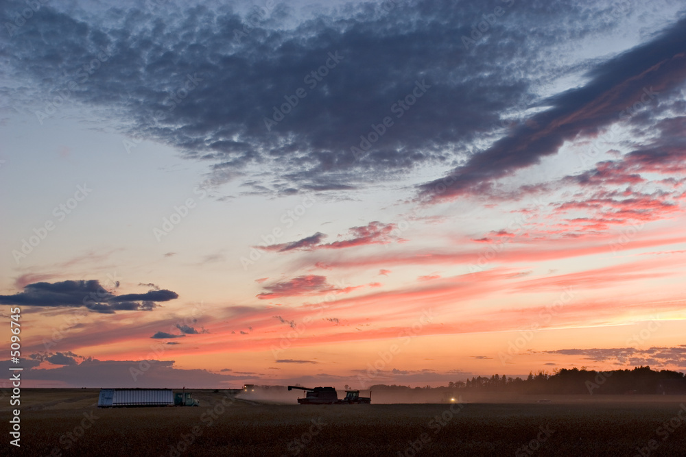 Naklejka premium Harvest Time
