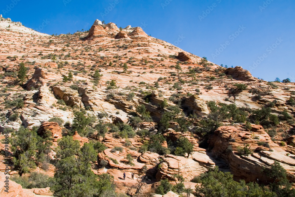 Fototapeta premium Large Rock Formation in Zion National Park