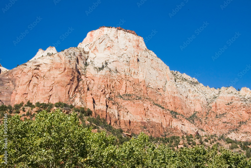 Fototapeta premium Large Rock Formation in Zion National Park