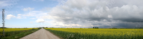 the field