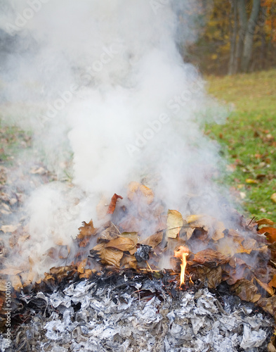 smoldering pile or autumn leaves in a grassy yard.