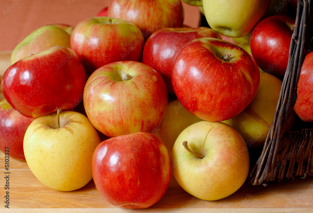Basketfull of apples overflowing onto a table Basketfull of apples overflowing onto a table