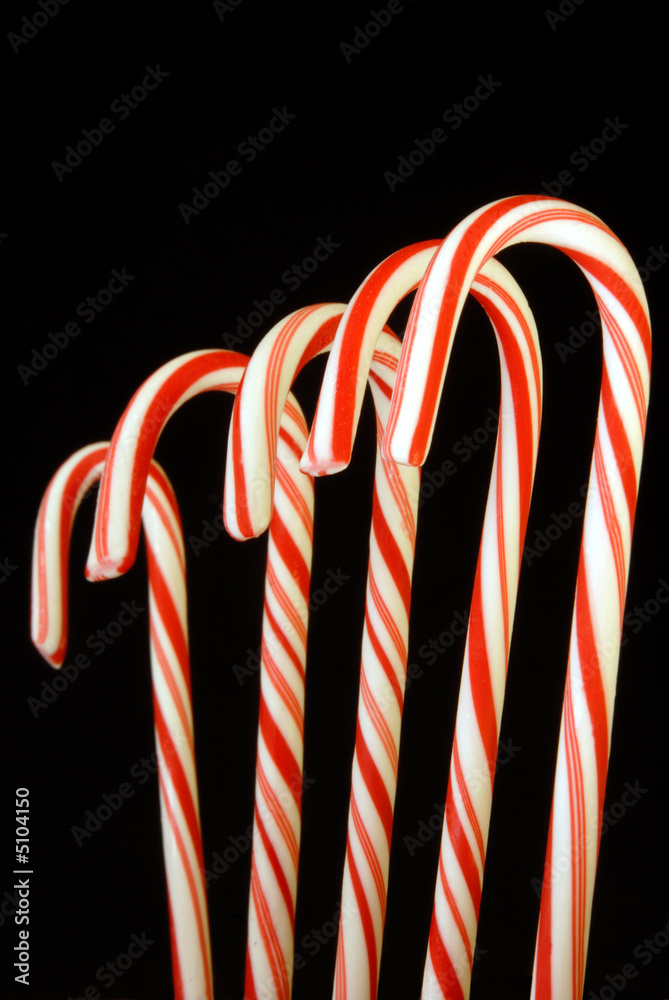 Fototapeta premium Candy Canes