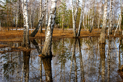 Reflection 