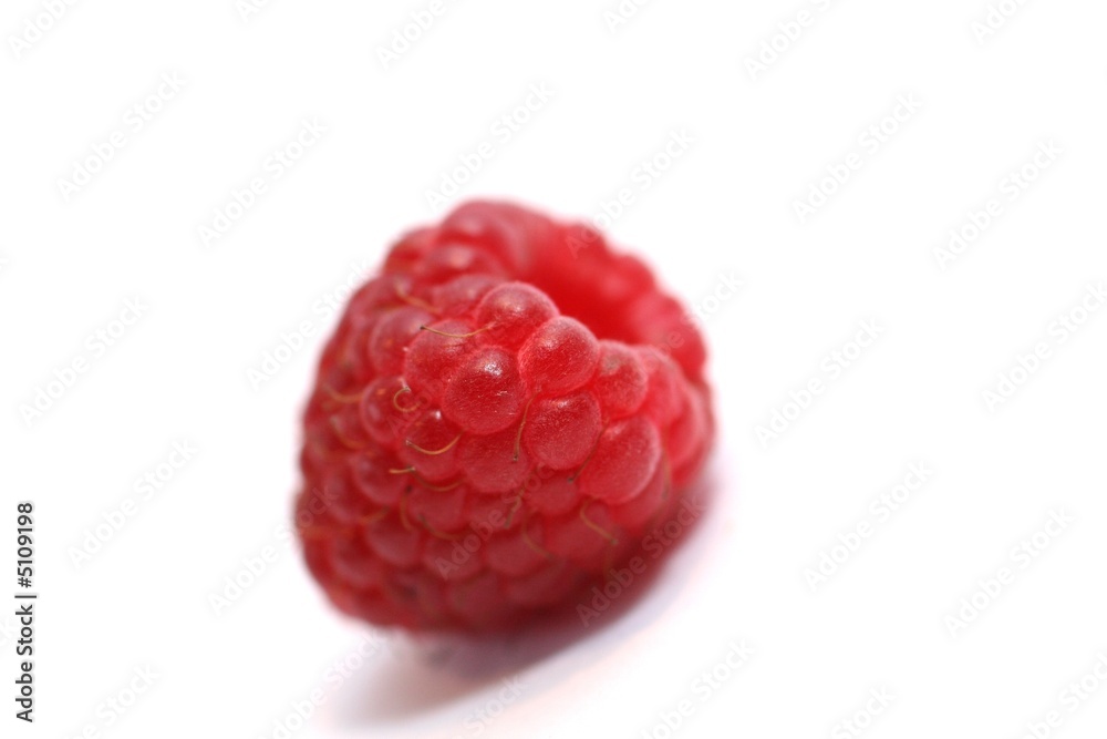 Himbeere Himbeere