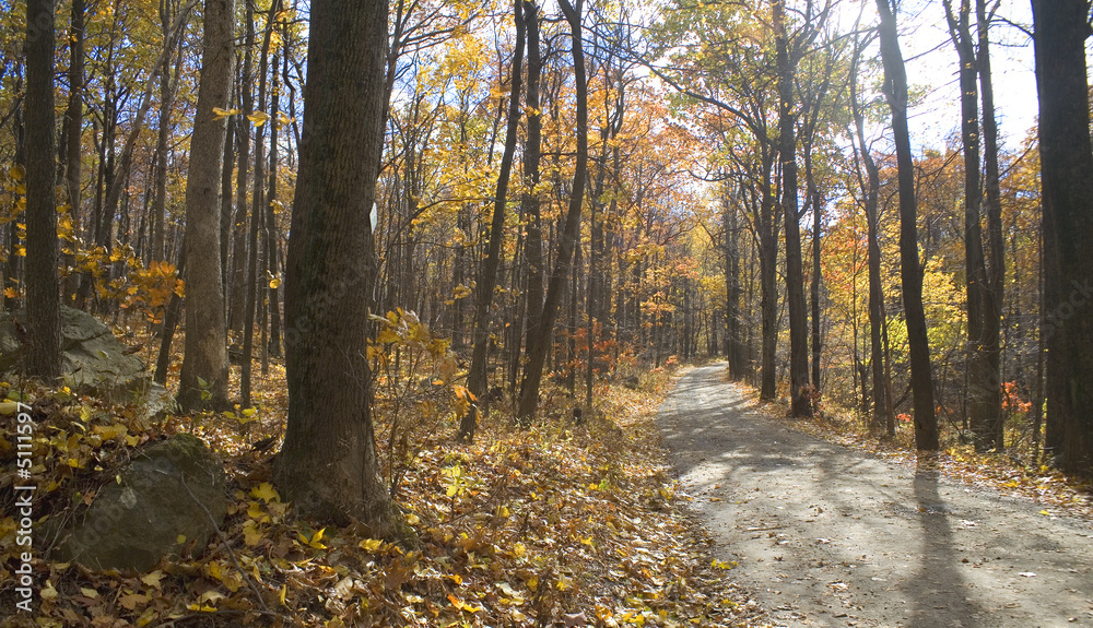 Obraz premium sunny fall day