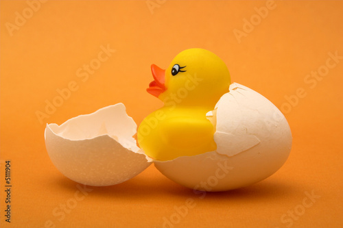 birth of rubber duck