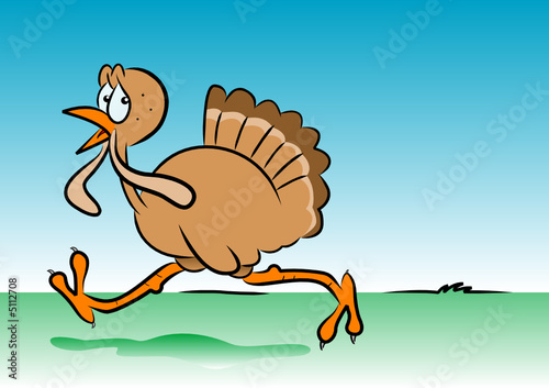 Running turkey