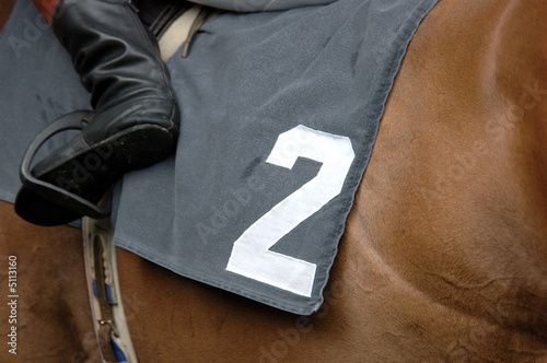 Wallpaper Mural Startnummer zwei Torontodigital.ca