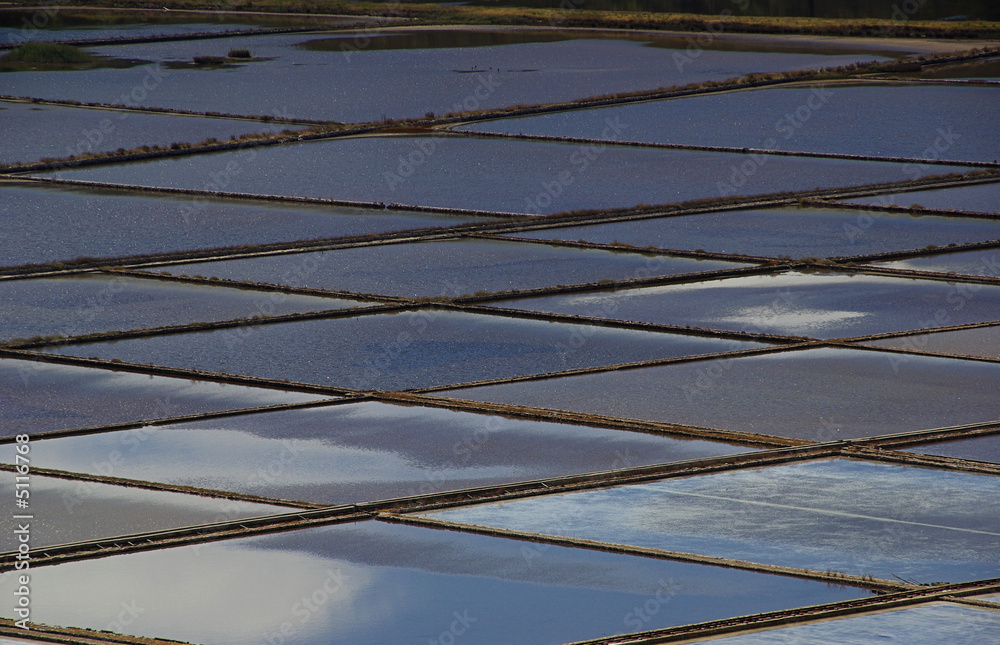 Fototapeta premium Ston 01