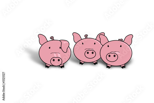 3 Schweine
