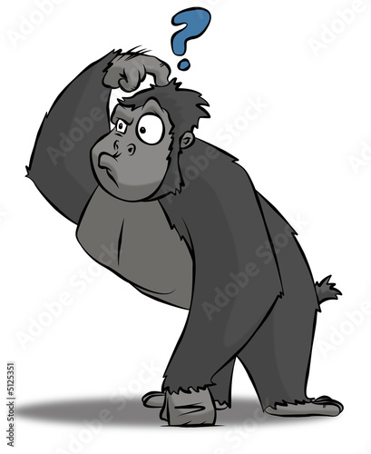 Confused Gorilla