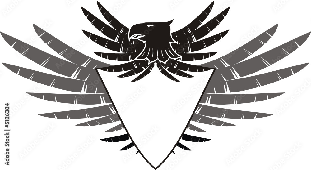 escudo 07