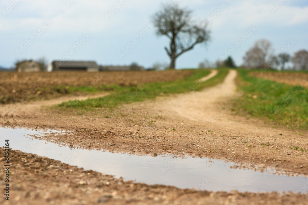 Fototapeta premium weg durch ackerland