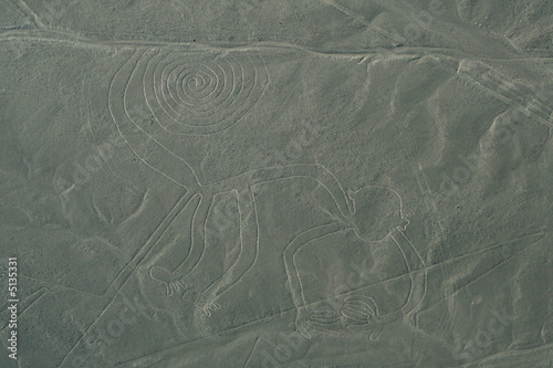 Ligne de Nasca : le singe