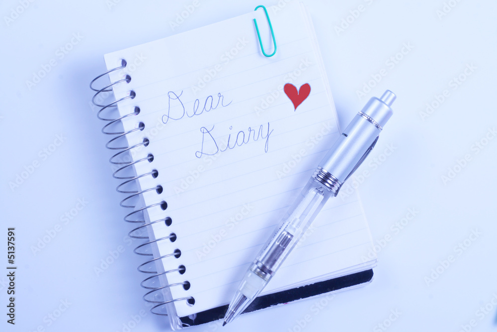 Dear Diary writen in pen