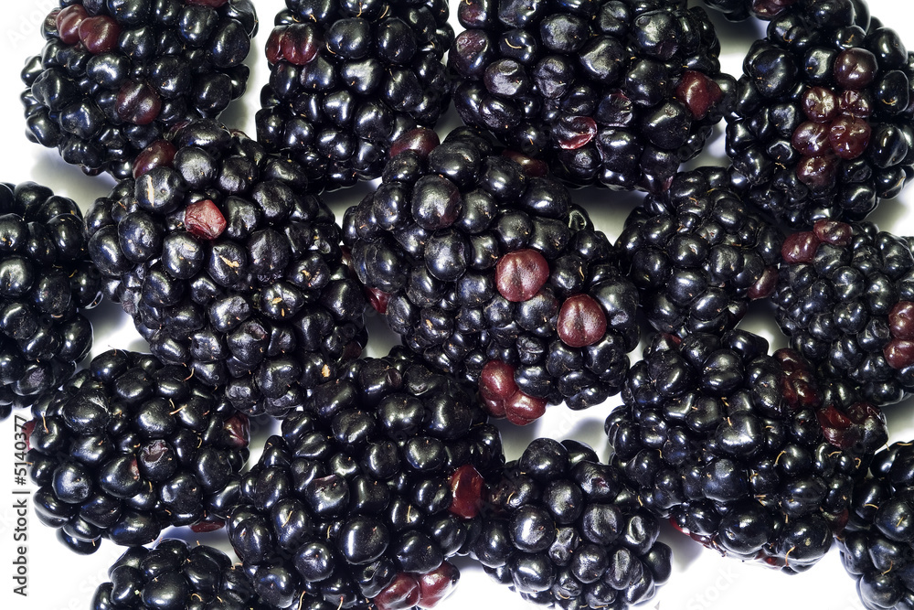 Blackberries with white background for background use 1 Blackberries with white background for background use 1