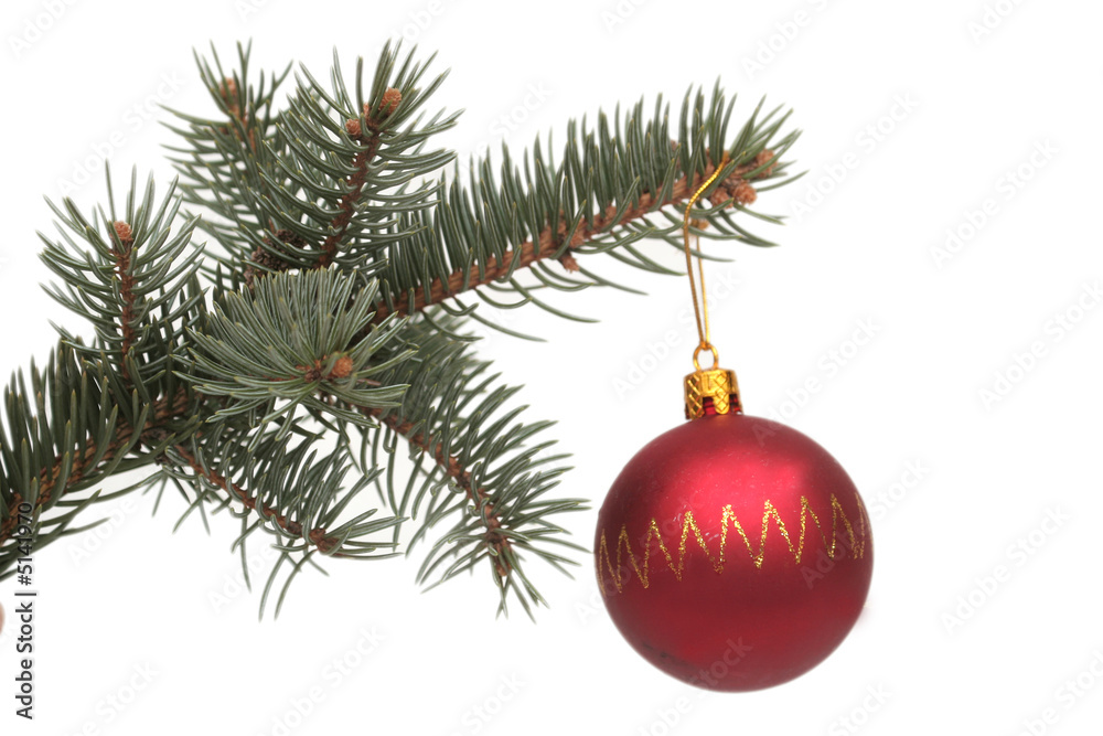 Red New Year's sphere and pine branch Red New Year's sphere and pine branch
