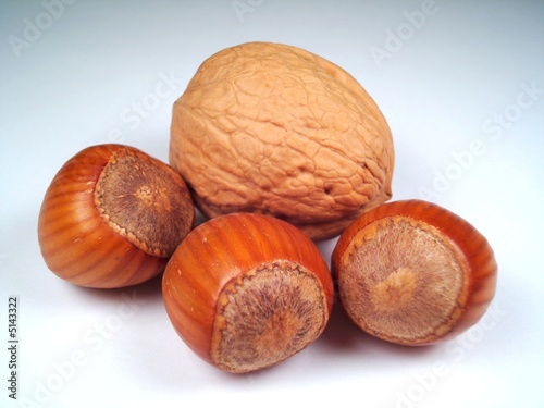 walnuss und haselnüsse - walnut and hazelnuts
