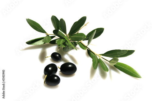ramo con olive photo