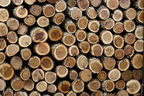 stack of dried firewood cut flush at the ends