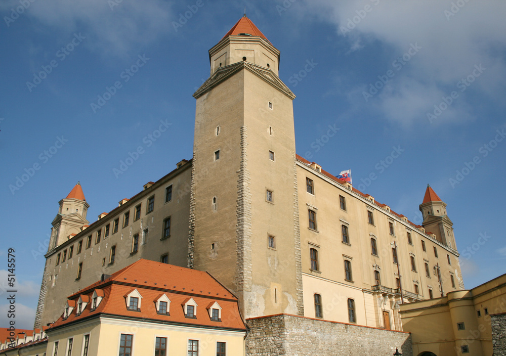 Bratislava Castle #1