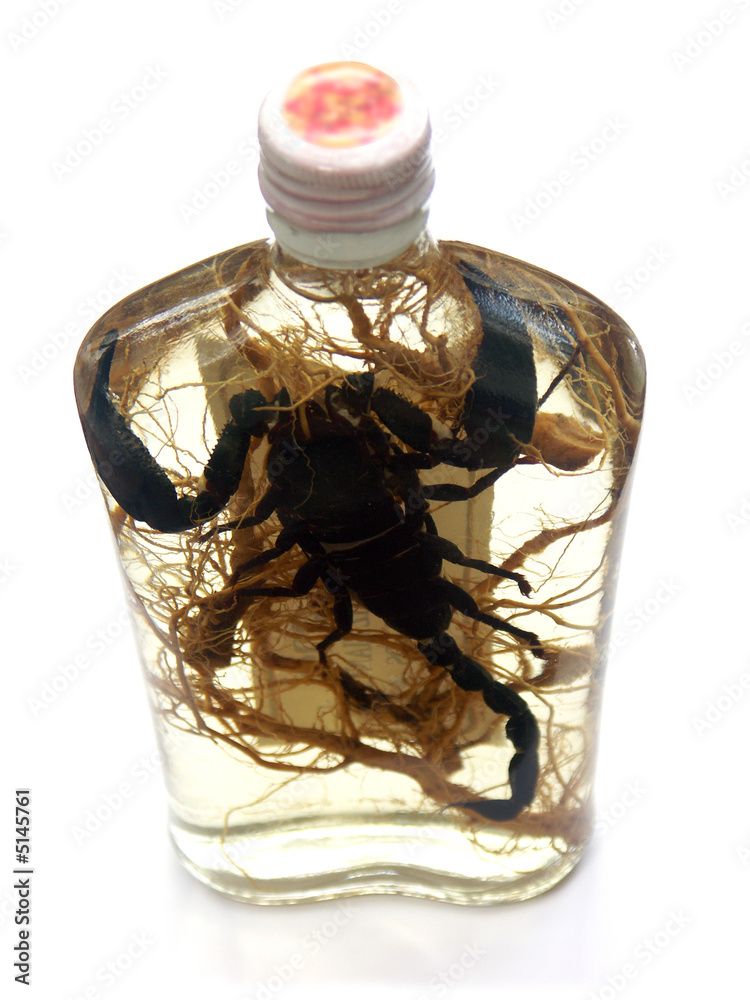 ginseng, scorpion et alcool de riz Photos | Adobe Stock