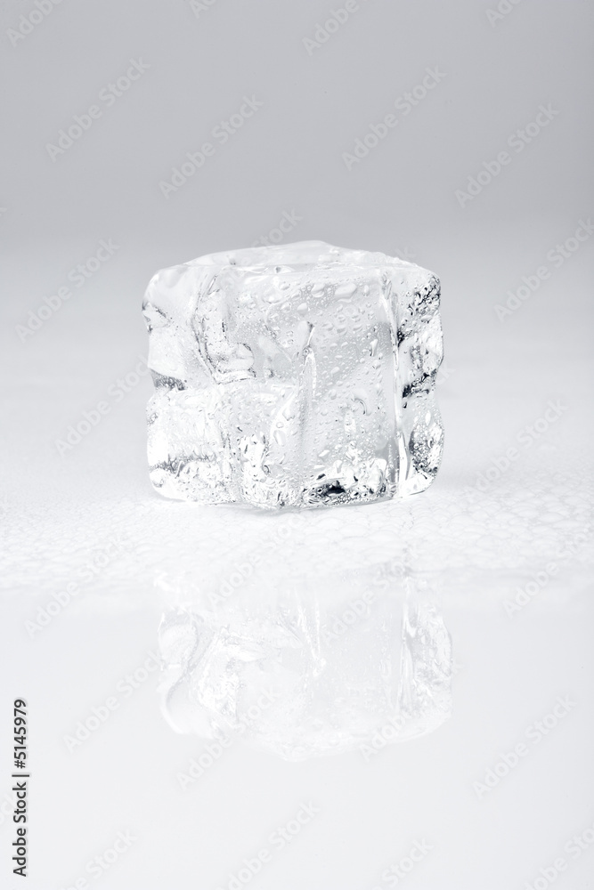 ice cube ice cube
