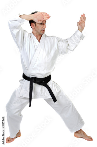 Martial arts stance