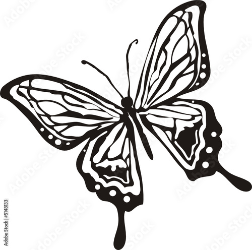 mariposa01