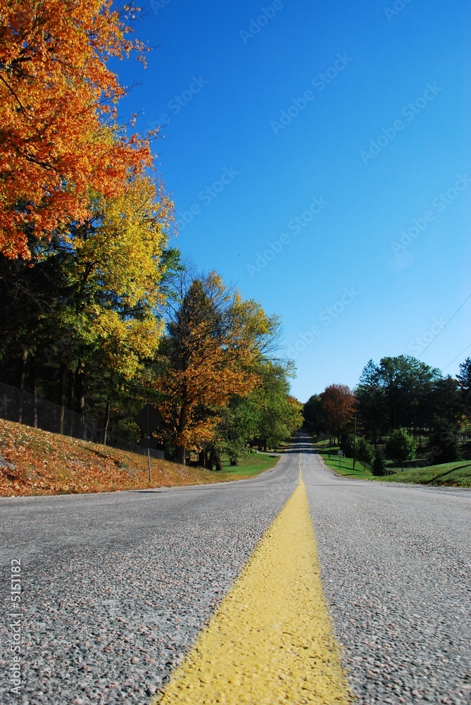 Automn road