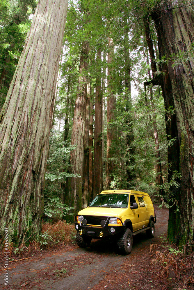Yellow 4x4 RV van in Redwoods NP, California