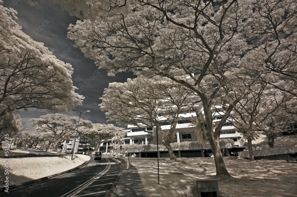 Infrared photo – tree, building and cloud in the parks Infrared photo – tree, building and cloud in the parks