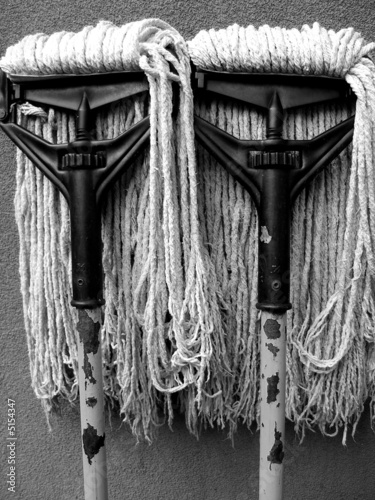 Twin Mops