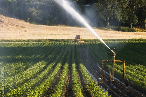 arrosage dans l'agriculture