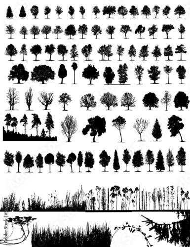 Trees, grass, plant vector