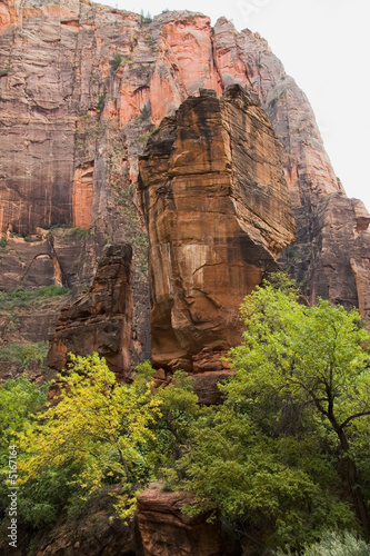 Rock Formation in Zion National Park