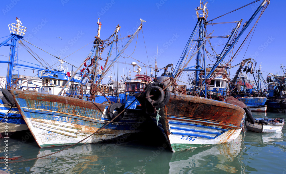 Morocco, Essaouira: fishing boats