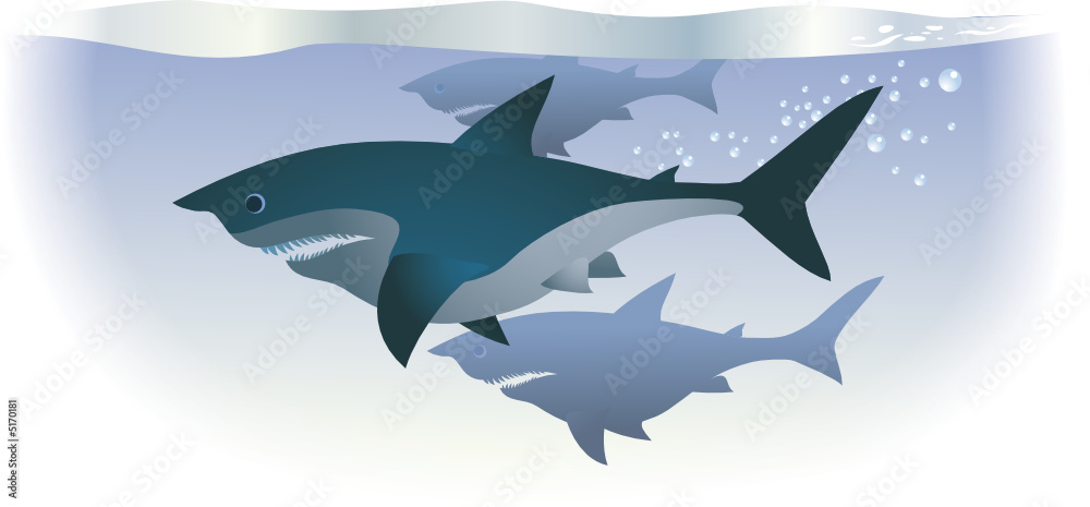 Sharks are swimming in deep water. Sharks are swimming in deep water.