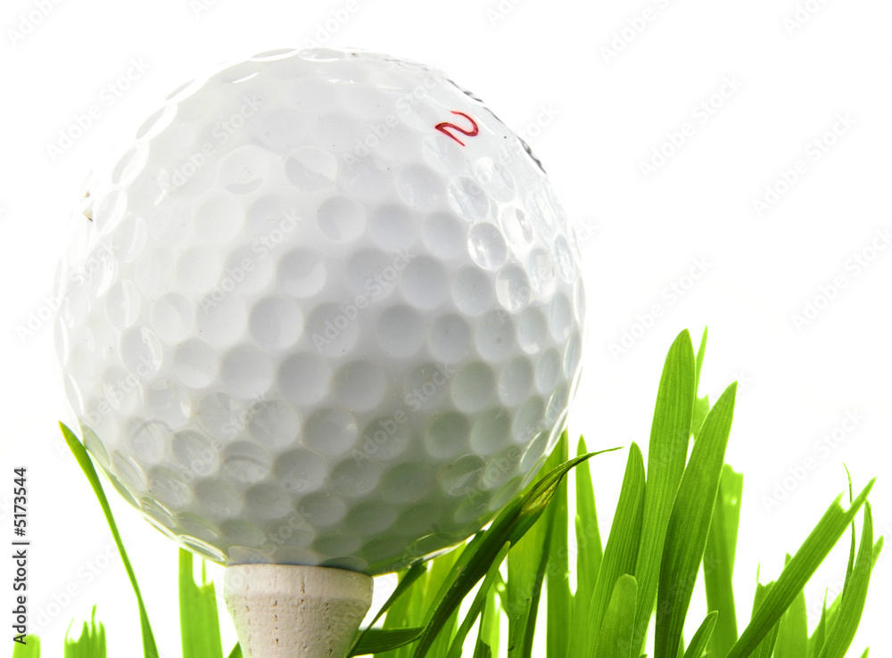 Fototapeta Closeup of a golf ball on a tee, isolated on white