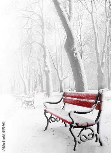 Red benches in the fog in winter