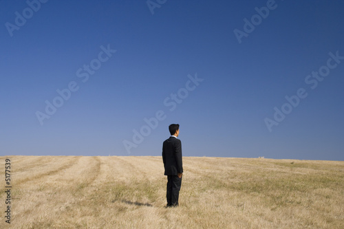 businessman standing in the field © Helder Almeida