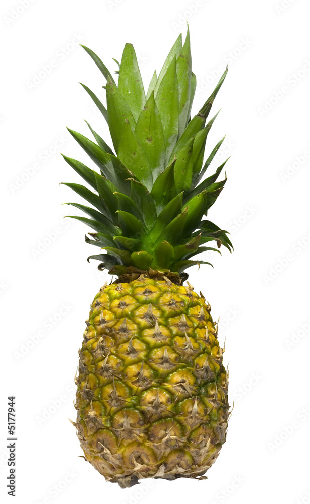 Fototapeta premium pineapple isolated with white background