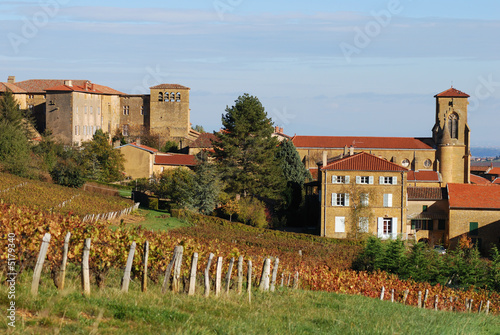 Vineyard and village