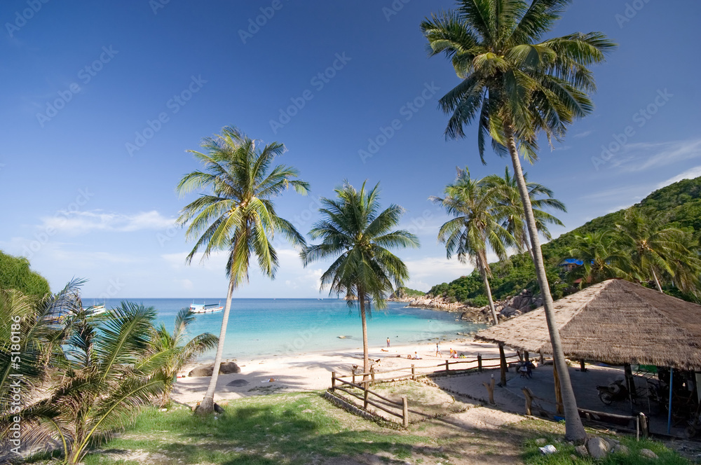 Tropical Beach View With Palm Trees